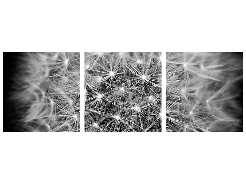 3-piece-canvas-print-dandelion-in-xxl