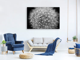 3-piece-canvas-print-dandelion-in-xxl