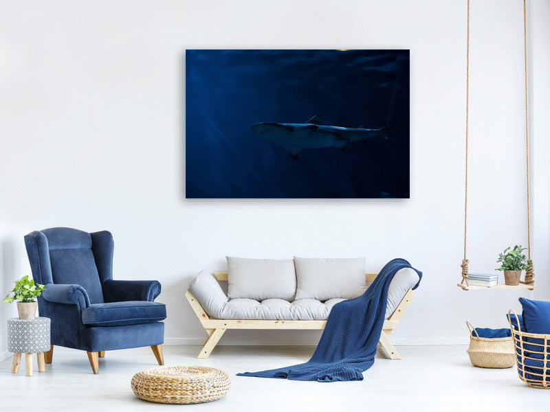 panoramic-3-piece-canvas-print-dangerous-shark
