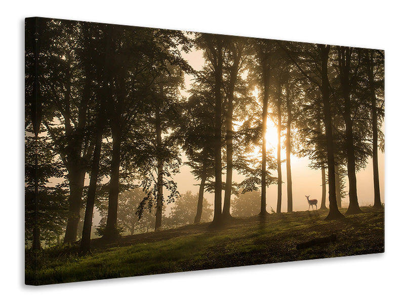 modern-3-piece-canvas-print-deer-in-the-morning-mist