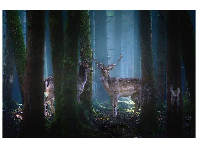3-piece-canvas-print-deers