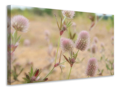 modern-3-piece-canvas-print-delicate-flowers