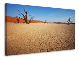 5-piece-canvas-print-desert