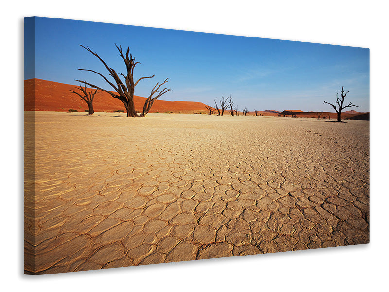 4-piece-canvas-print-desert