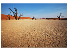 5-piece-canvas-print-desert