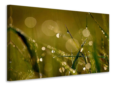 modern-3-piece-canvas-print-dew-in-the-morning