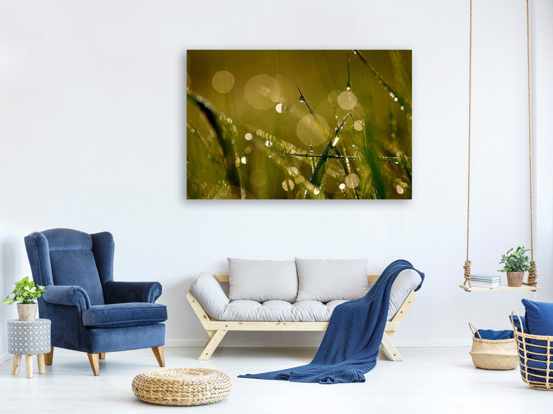 modern-4-piece-canvas-print-dew-in-the-morning