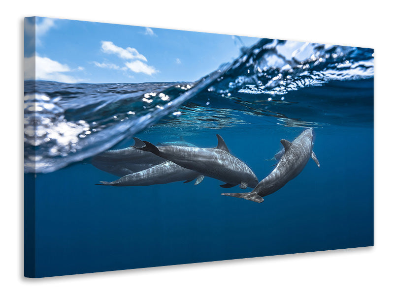 3-piece-canvas-print-dolphins