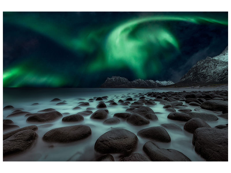 modern-4-piece-canvas-print-dragons-fly