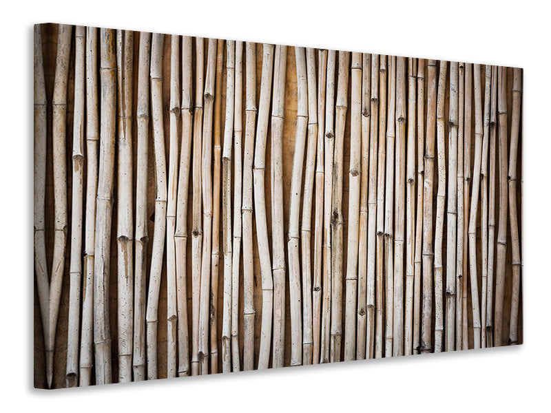 panoramic-canvas-print-dried-bamboos