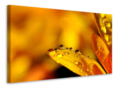 5-piece-canvas-print-drops-close-up