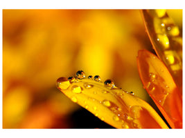 modern-4-piece-canvas-print-drops-close-up