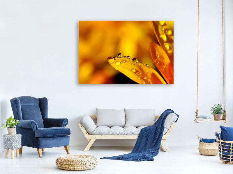 3-piece-canvas-print-drops-close-up