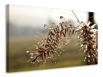 3-piece-canvas-print-drops-of-nature