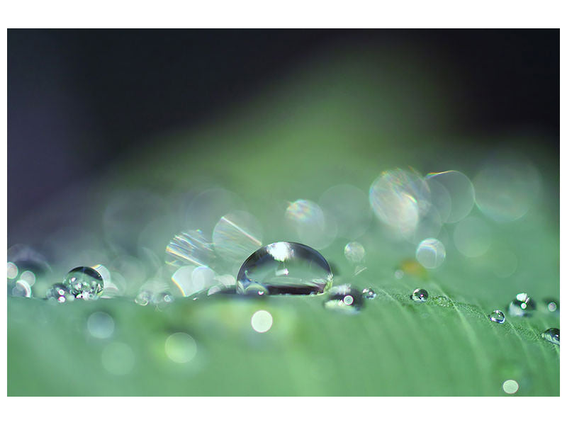 modern-3-piece-canvas-print-drops-of-water-in-xxl