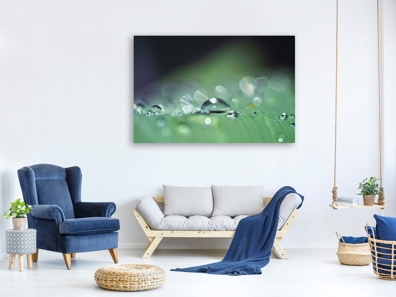 5-piece-canvas-print-drops-of-water-in-xxl