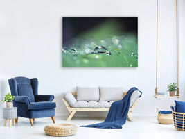 4-piece-canvas-print-drops-of-water-in-xxl