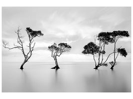 modern-4-piece-canvas-print-drowning-not-waving