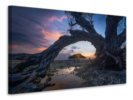 4-piece-canvas-print-dry