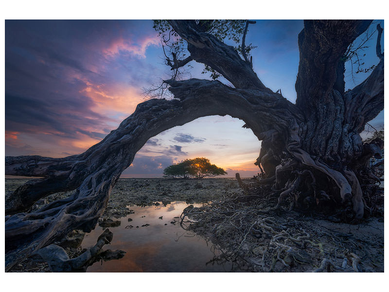 5-piece-canvas-print-dry
