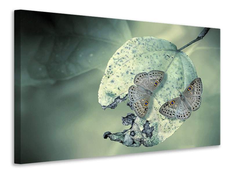 5-piece-canvas-print-duet