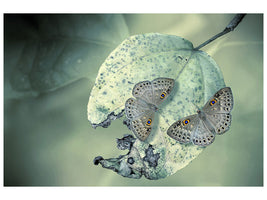 5-piece-canvas-print-duet