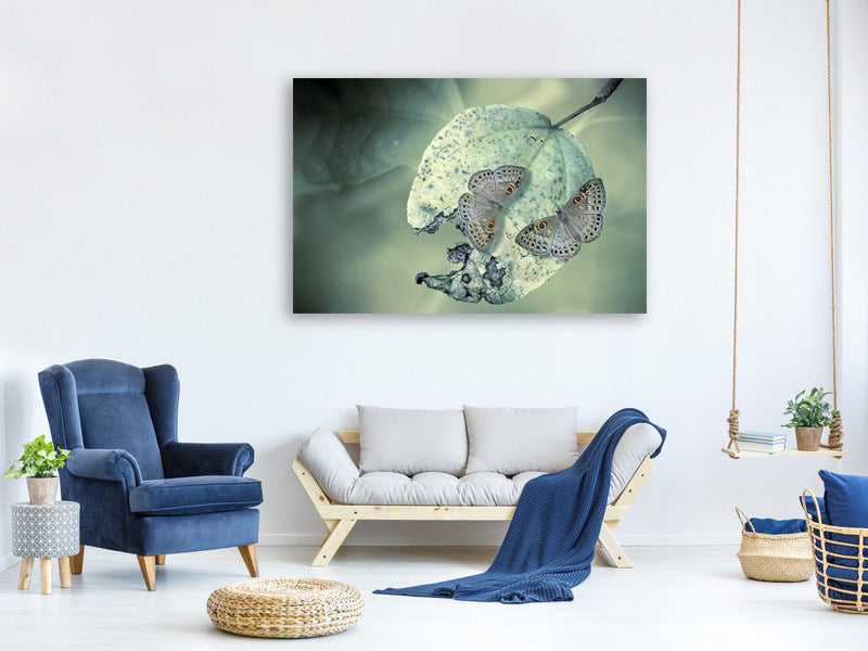 5-piece-canvas-print-duet