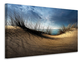 4-piece-canvas-print-dunes