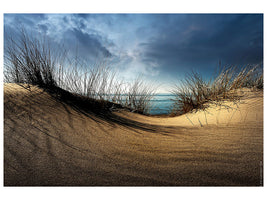 4-piece-canvas-print-dunes