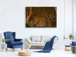 3-piece-canvas-print-early-morning-dark-hedges