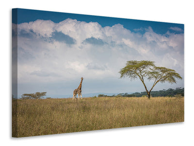 4-piece-canvas-print-east-africa
