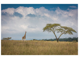 panoramic-3-piece-canvas-print-east-africa