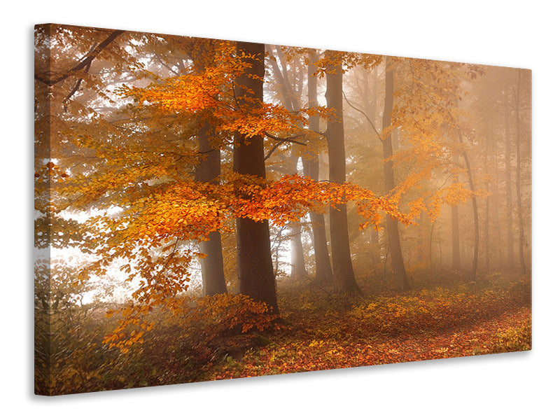 5-piece-canvas-print-edge-of-the-woods