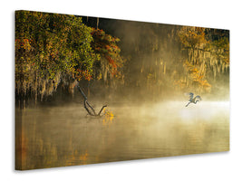 panoramic-canvas-print-egret