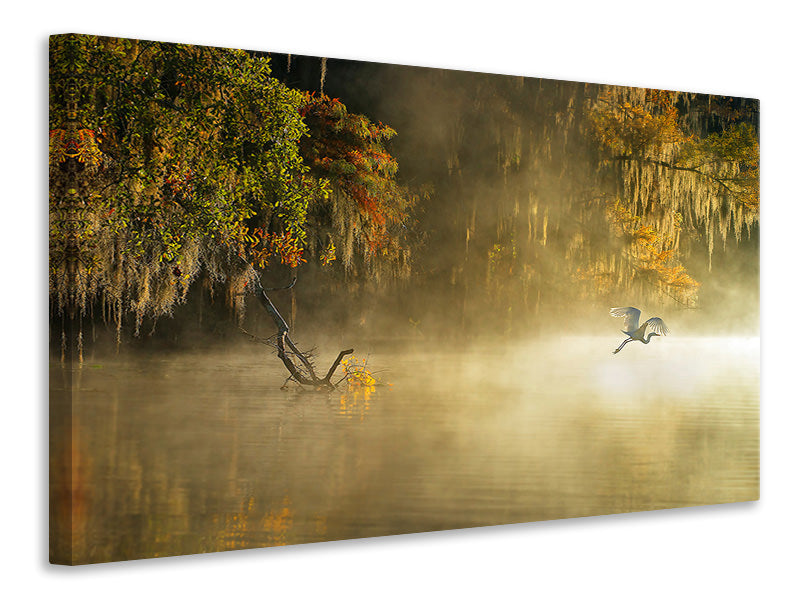 panoramic-canvas-print-egret