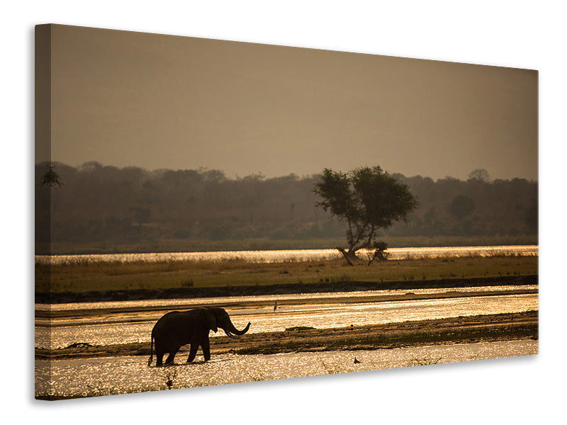panoramic-3-piece-canvas-print-elephant-alone-in-the-steppe