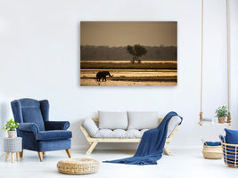 panoramic-3-piece-canvas-print-elephant-alone-in-the-steppe