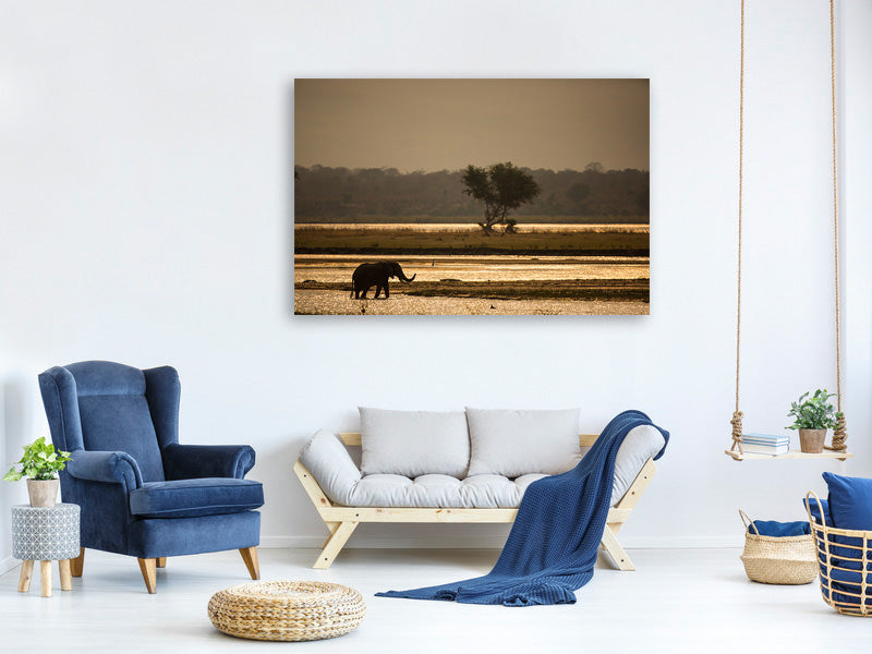 panoramic-3-piece-canvas-print-elephant-alone-in-the-steppe