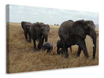 3-piece-canvas-print-elephant-family