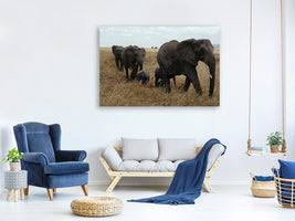 3-piece-canvas-print-elephant-family