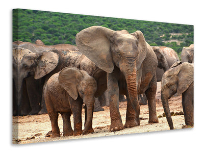 3-piece-canvas-print-elephant-herd-in-africa