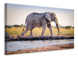 3-piece-canvas-print-elephant-in-the-nature