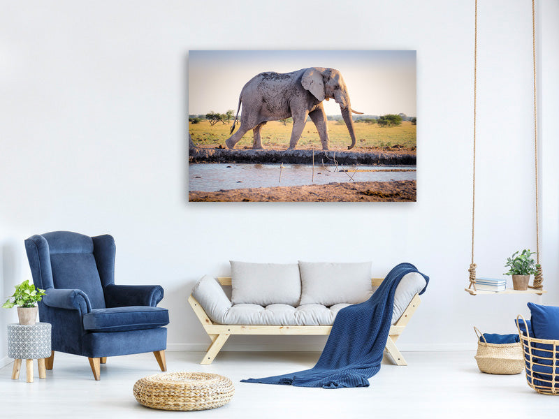3-piece-canvas-print-elephant-in-the-nature