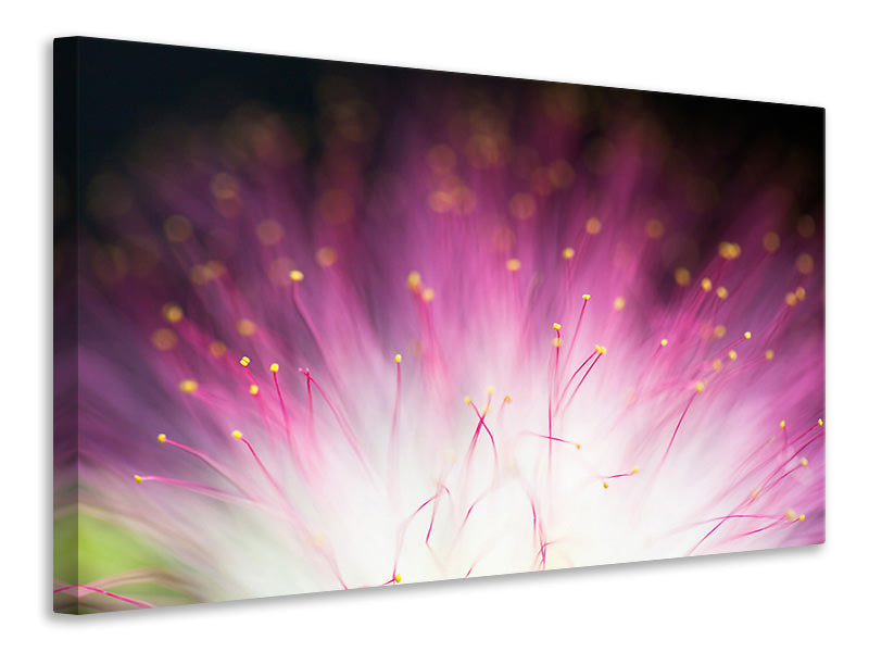 panoramic-canvas-print-elfin