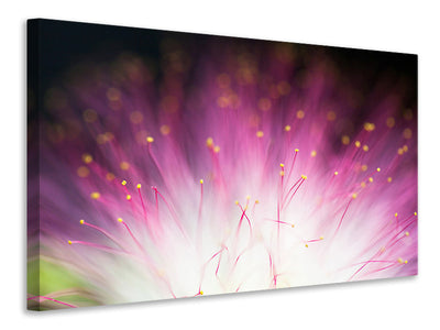 3-piece-canvas-print-elfin