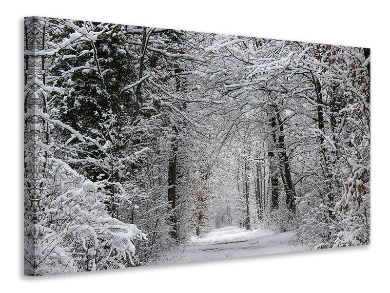 3-piece-canvas-print-enchanted-winter-forest