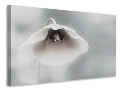 5-piece-canvas-print-ephemeral-beauty-ii