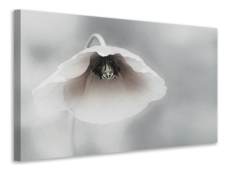 modern-3-piece-canvas-print-ephemeral-beauty-ii