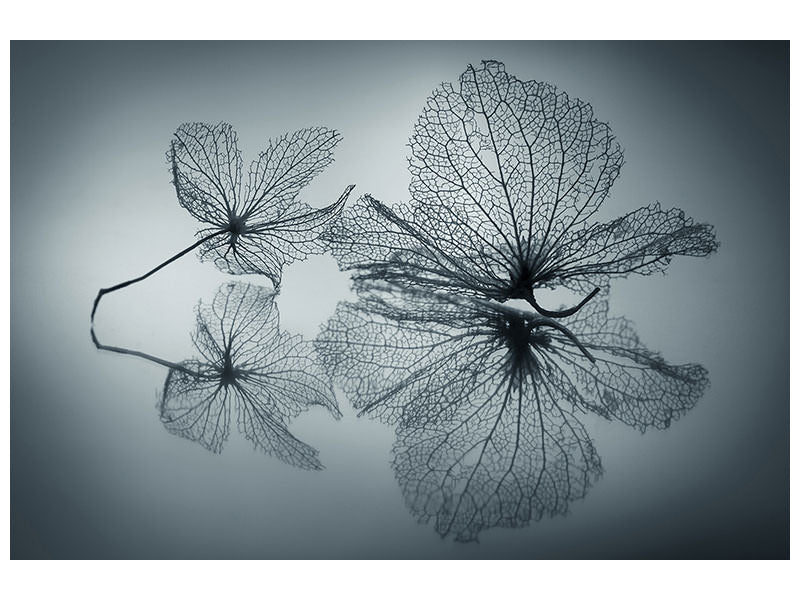 4-piece-canvas-print-ephemeral-beauty