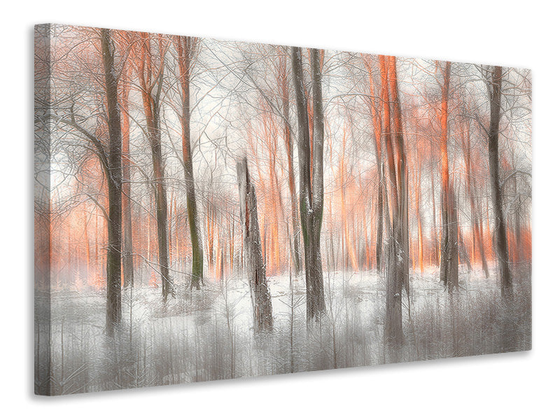 modern-3-piece-canvas-print-evening-light
